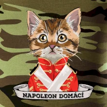 Napoleon domácí kočka