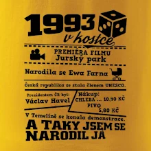 1993 v kostce