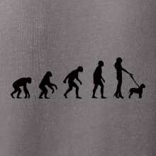 Lagotto romagnolo Evoluce