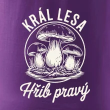 Král lesa hřib pravý
