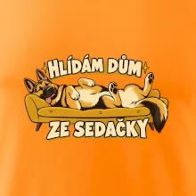 Hlídám dům ze sedačky - vlčák