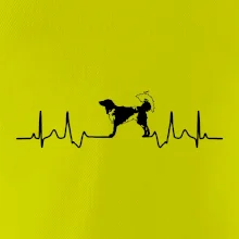 Český strakatý pes EKG