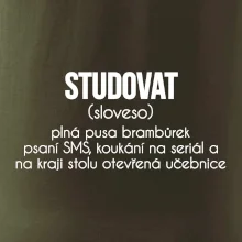 Studovat