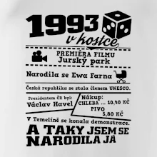 1993 v kostce