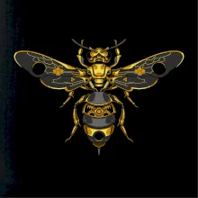 Steampunk včela s dírou ve křídle