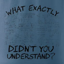 What exactly didnt you understand - physics