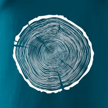 Letokruhy 85 bez věku