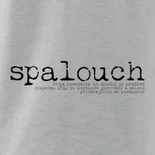 Čeština 2.0 - spalouch