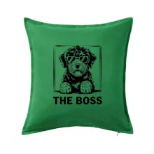 Lagotto romagnolo the boss