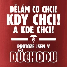 Dělám co chci, kdy chci důchod