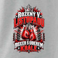 Listopadový boxer s úderem krále