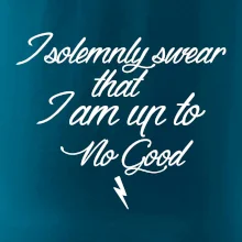 I solemnly swear that I'm up to no good