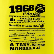 1966 v kostce