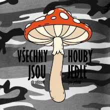 Všechny houby jsou jedlé