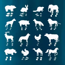 Zvířecí stopy s obrázkem zvířete - stopy zvířat