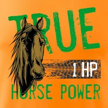 True Horse Power 1 HP