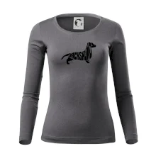 Jezevčík - Dachshund