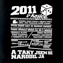 2011 v kostce