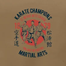 Karate Champions