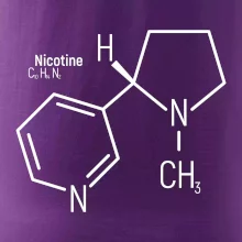 Molekulární struktura Nikotin