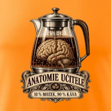 Anatomie učitele deset procent mozek devadesát káva
