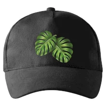 Monstera - dva listy