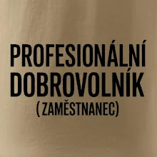 PROFESIONÁLNÍ DOBROVOLNÍK (zaměstnanec)