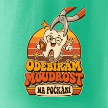 Odebírám moudrost na počkání