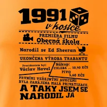 1991 v kostce
