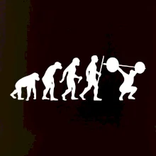 Evolution fitness