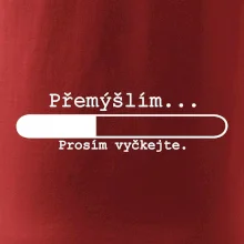 Přemýšlím