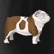 Vintage English bulldog