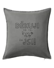 Děkuji za to, že jsi