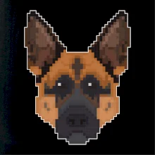 Německý ovčák - Rozkostičkovaný