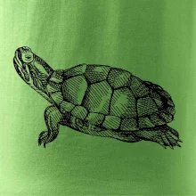 Tužkou kreslená želva