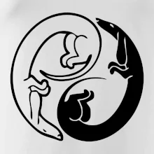 Jezevčíci - Jin jang