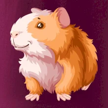 Morče - kreslené, bílo oranžové