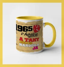 1965 v kostce