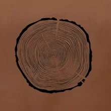 Letokruhy 80 bez věku