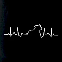 Stafordšírsky bulteriér EKG