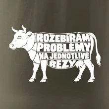 Rozebírám problémy na jednotlivé řezy