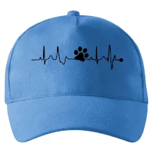 Ekg psí tlapka Ekg psí tlapka