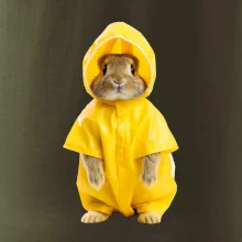 Králík v pláštěnce