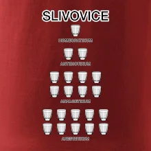 Slivovice počítání (Hana-creative)