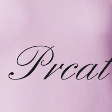 Prcat (souložit vulgárně)