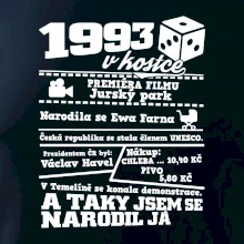 1993 v kostce