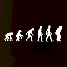 Evoluce baseball chytač