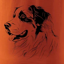 Bernský salašnický pes černá kresba