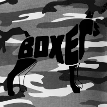 Boxer nápis v těle