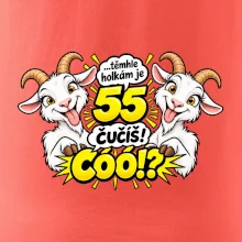 Těmhle holkám je 55, čučíš co?